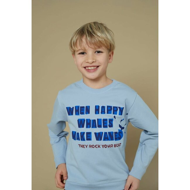 Sturdy - Sweater Blauw - Waves and Whales
