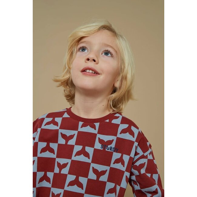 Sturdy - Sweater AOP Bordeaux - Waves and Whales