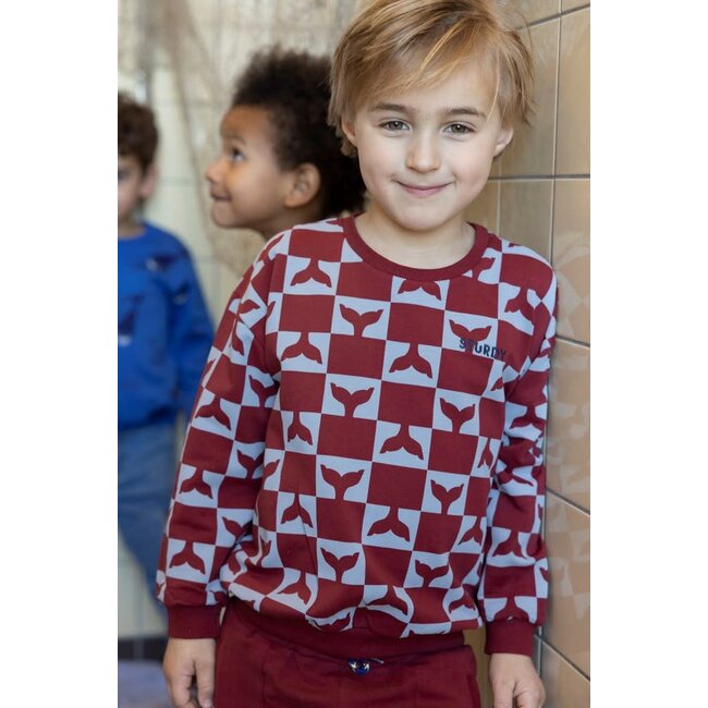 Sturdy - Sweater AOP Bordeaux - Waves and Whales