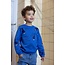 Sturdy - Sweater AOP Aqua - Waves and Whales