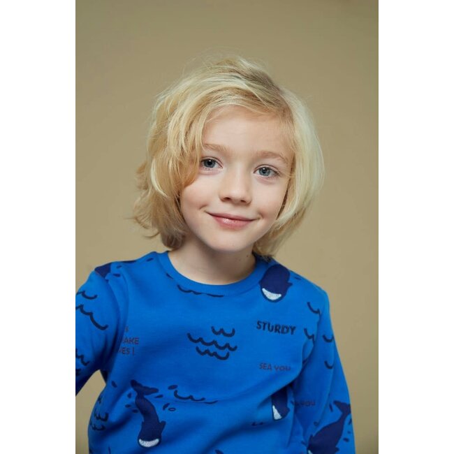 Sturdy - Sweater AOP Aqua - Waves and Whales