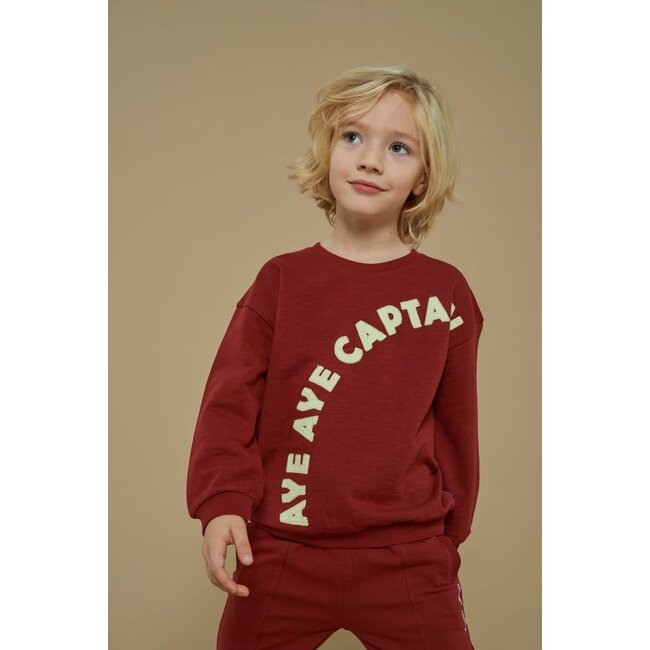 Sturdy - Sweater Bordeaux - Waves and Whales