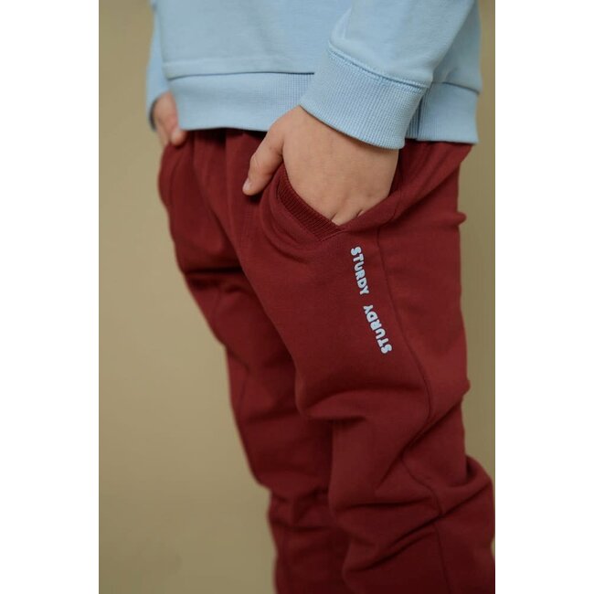 Sturdy - Broek Bordeaux - Waves and Whales