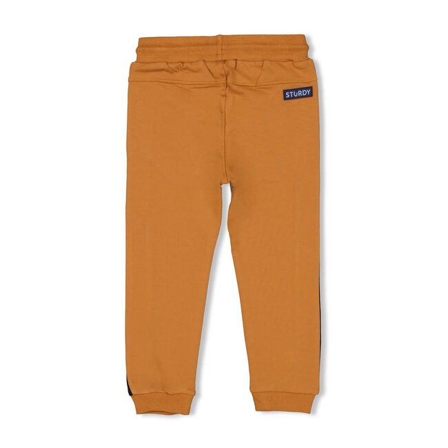 Sturdy - Broek Hazelnoot - Waves and Whales