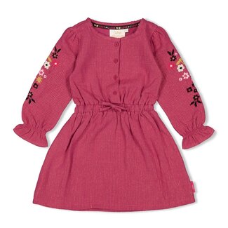 Jubel Jubel - Jurk Violet - Shine Bright