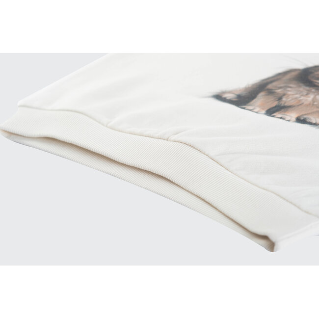 Someone - Sweater Deery - Dark Ecru