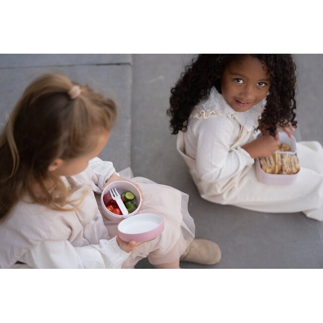 Little Dutch - Fruitbox Mepal Campus 300 ml - Fairy Garden