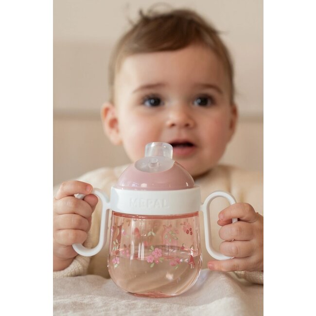 Little Dutch - Antilek tuitbeker Mepal Mio 200 ml - Fairy Garden