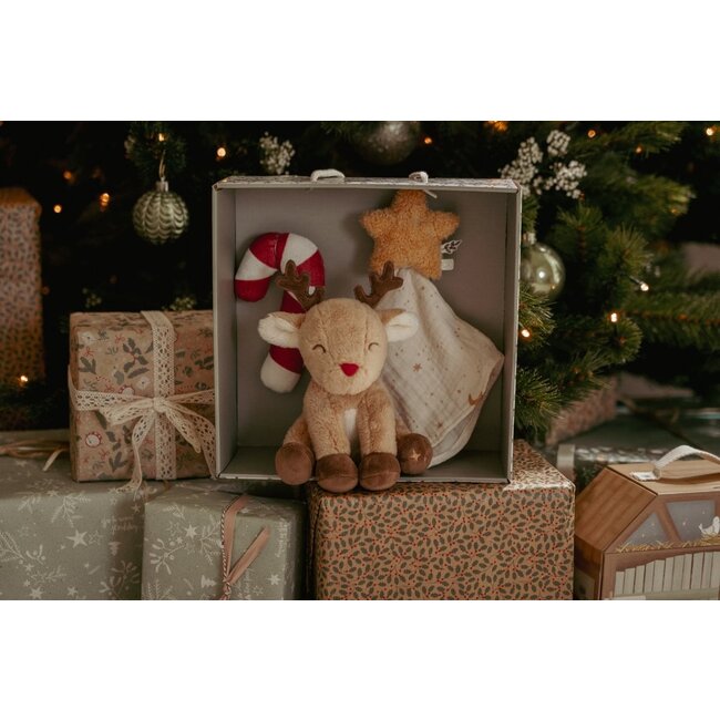 Little Dutch - Kerst Giftset Newborn