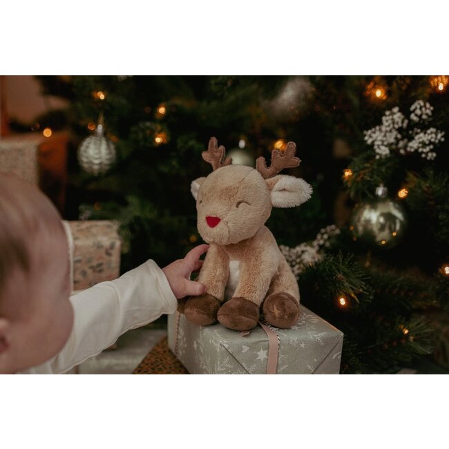 Little Dutch - Kerst Giftset Newborn