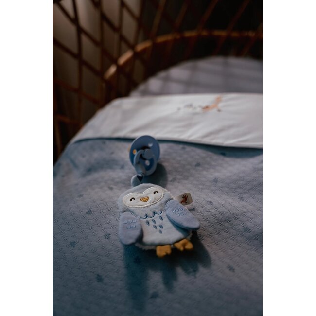 Little Dutch - Speendoekje Uil - Forest Friends