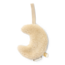 Little Dutch - Speendoekje Maan Beige - Newborn Naturals