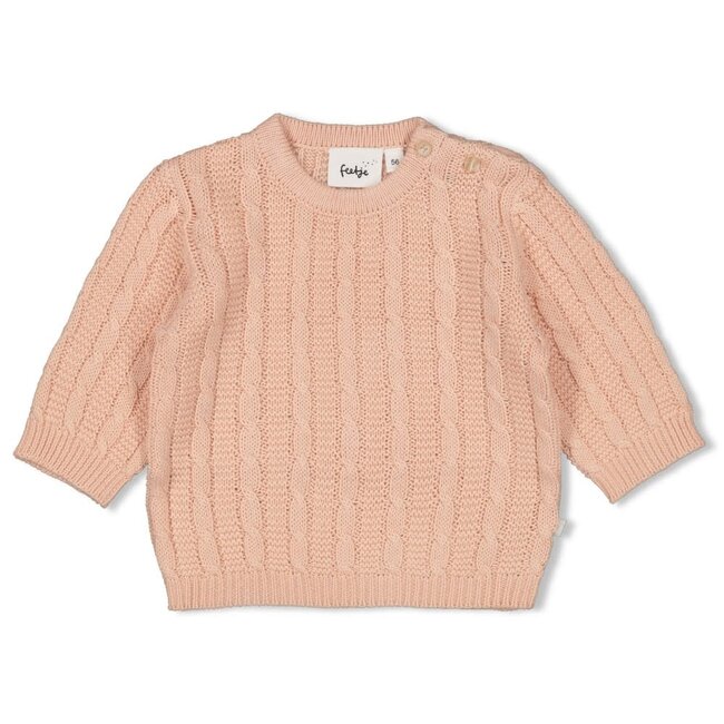 Feetje - Sweater Gebreid Roze - The Knits