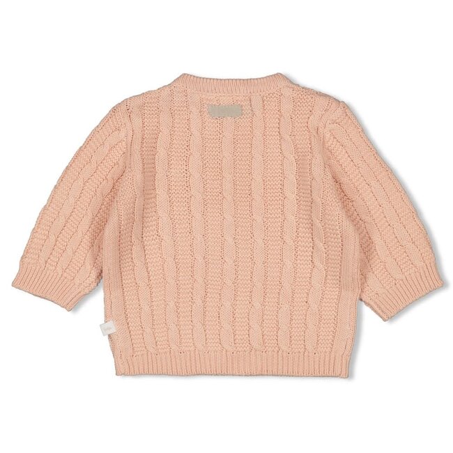 Feetje - Sweater Gebreid Roze - The Knits