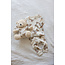 Feetje - Baby Pyjama Teddy Bear Offwhite Melange - Premium Sleepwear