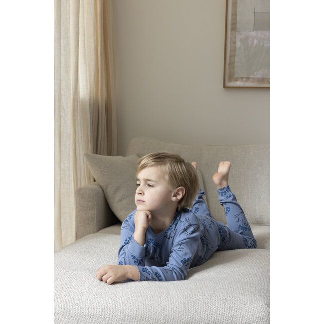 Feetje - Pyjama Willy Walrus Blauw - Premium Sleepwear