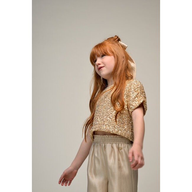 Le Chic - Hairclip Rania - Golden Glow