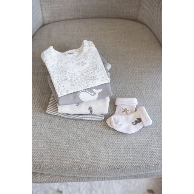 Feetje - Longsleeve Rib met Streep Grijs - Sea Sweeties