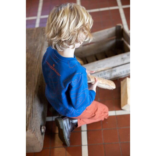 Sturdy - Sweater AOP Blauw - Chasing Trails