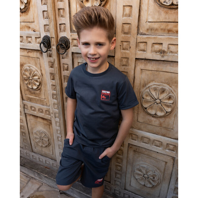 Skurk - T-shirt Taks - Grey