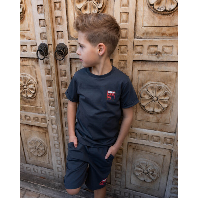 Skurk - T-shirt Taks - Grey