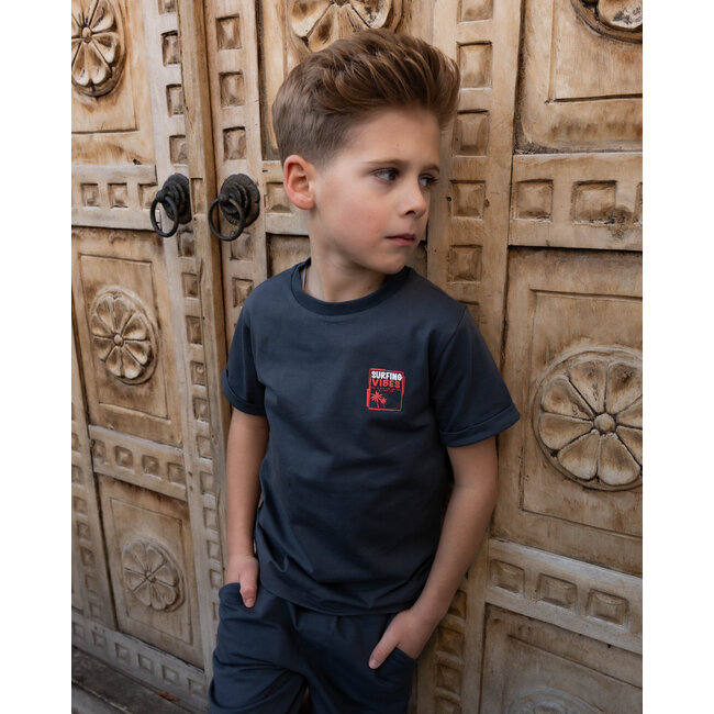 Skurk - T-shirt Taks - Grey