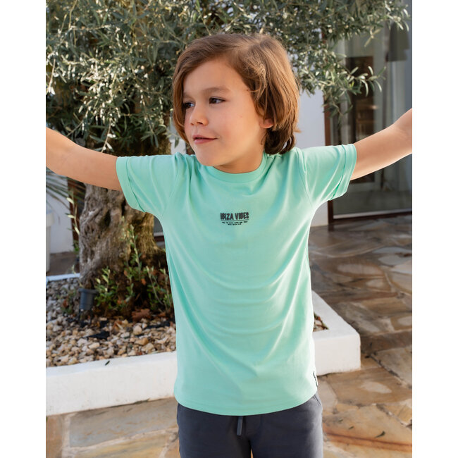 Skurk - T-shirt Tino - Mint