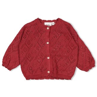 Feetje Feetje - Vestje Gebreid Berry - Ladybug