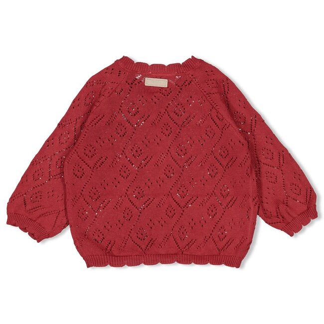 Feetje - Vestje Gebreid Berry - Ladybug