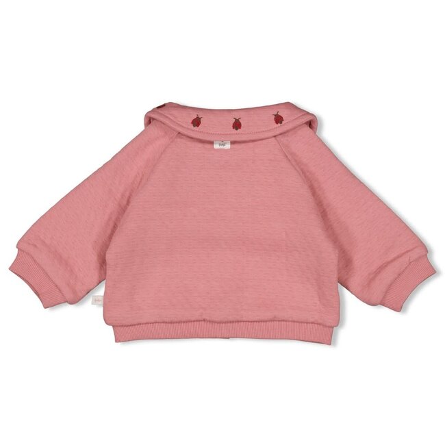 Feetje - Jasje Roze - Ladybug