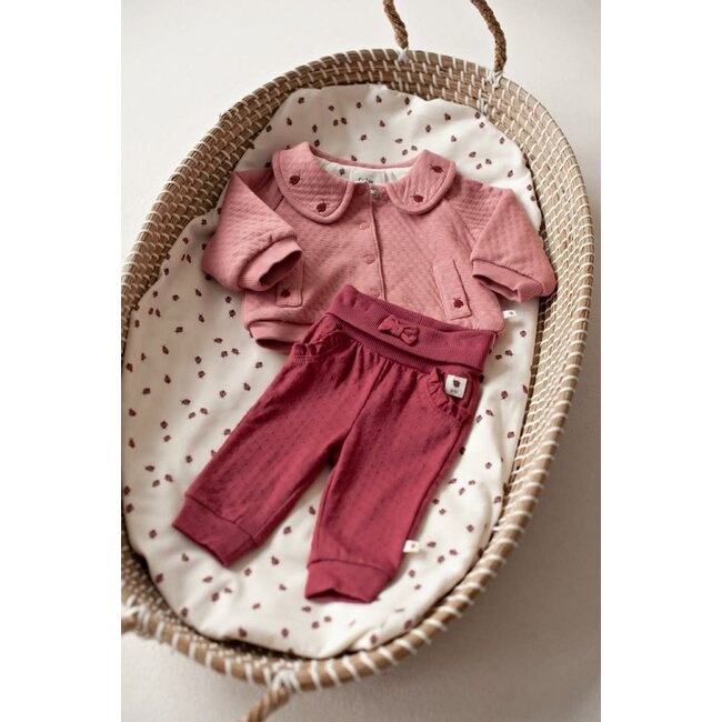 Feetje - Jasje Roze - Ladybug