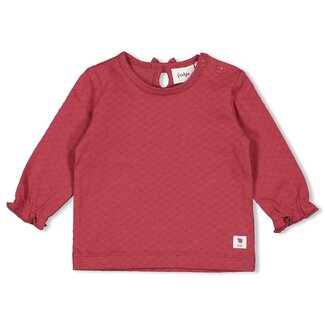 Feetje Feetje - Longsleeve Berry - Ladybug