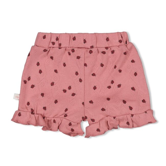 Feetje - Short Ajour Rib AOP Roze - Ladybug