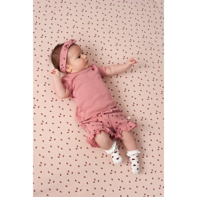 Feetje - Short Ajour Rib AOP Roze - Ladybug