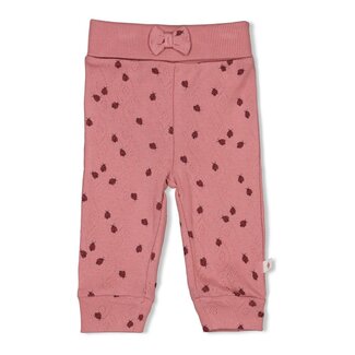 Feetje Feetje - Broek Ajour Rib AOP Roze - Ladybug