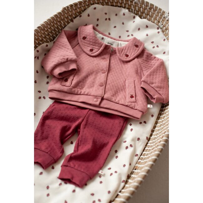 Feetje - Broek Berry - Ladybug