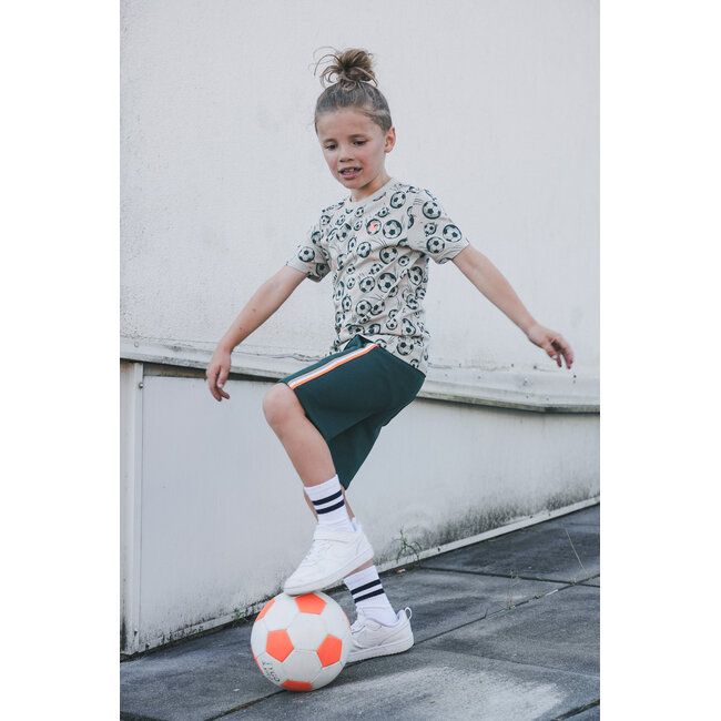 Tygo & Vito - T-shirt Thijs - Pebble Stone