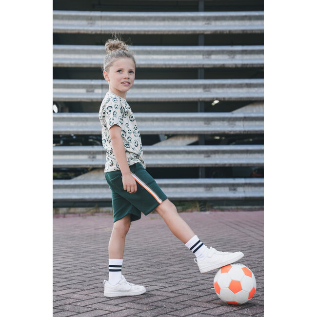 Tygo & Vito - T-shirt Thijs - Pebble Stone