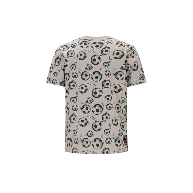 Tygo & Vito - T-shirt Thijs - Pebble Stone