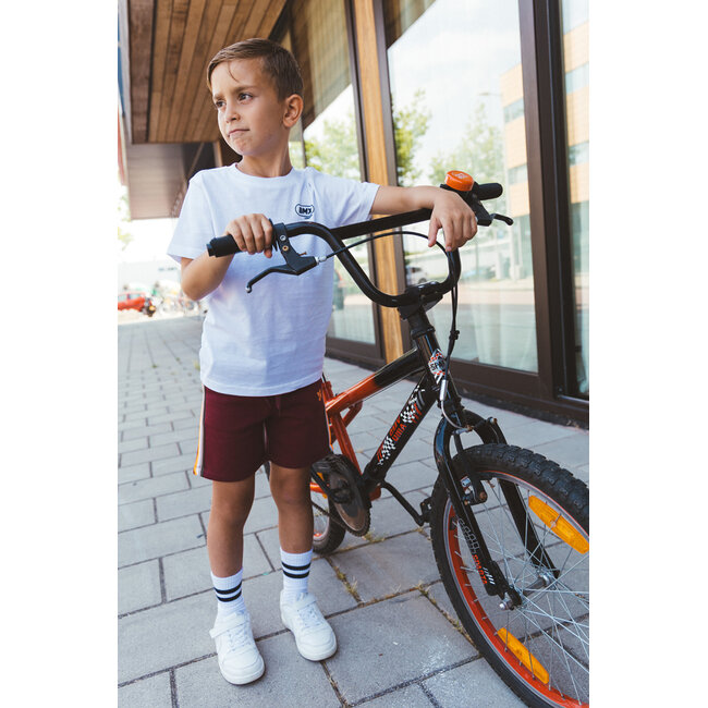 Tygo & Vito - Sweatshort Toby - Rhododendron