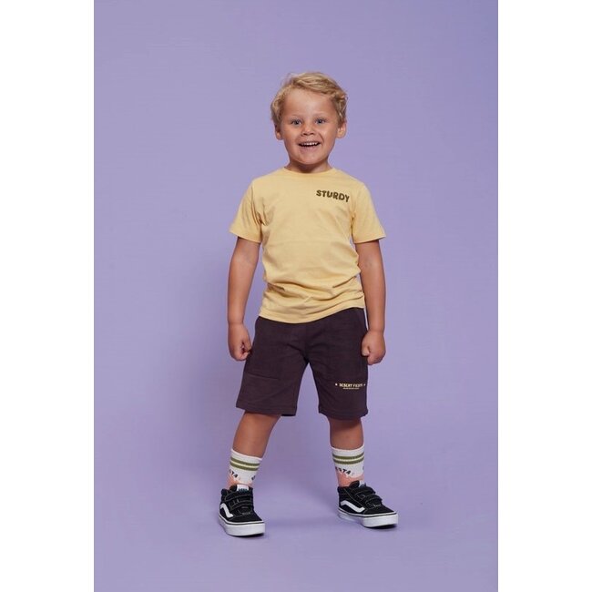 Sturdy - Sokken Neon Koraal - Desert Fiesta