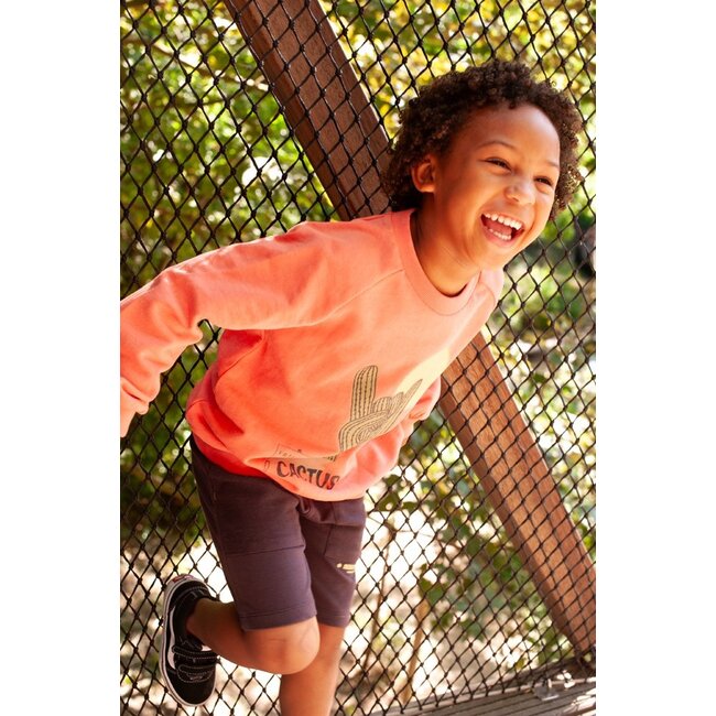 Sturdy - Sweater Koraal - Desert Fiesta