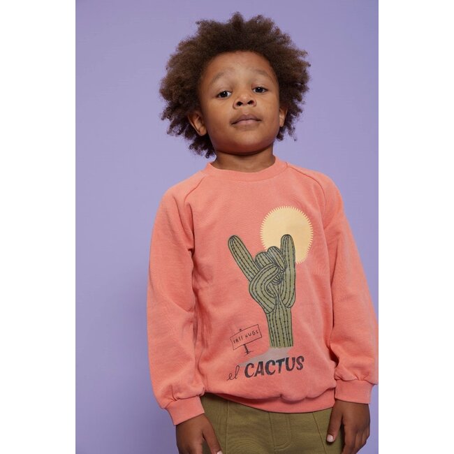 Sturdy - Sweater Koraal - Desert Fiesta