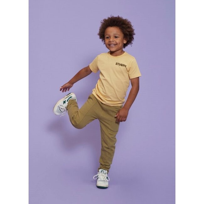 Sturdy - T-shirt Geel - Desert Fiesta