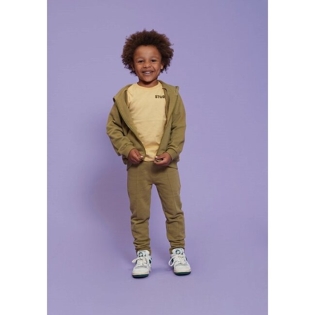 Sturdy - T-shirt Geel - Desert Fiesta