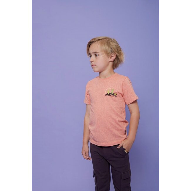 Sturdy - T-shirt Koraal Melange - Desert Fiesta