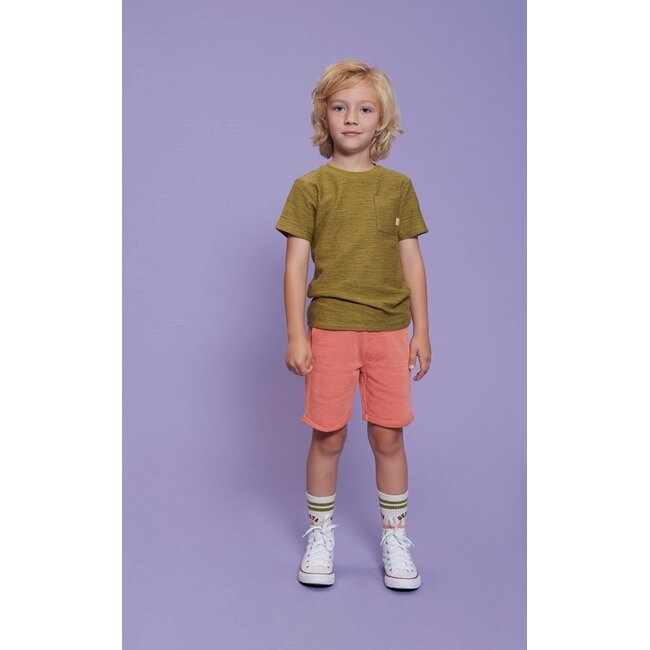 Sturdy - T-shirt Army - Desert Fiesta