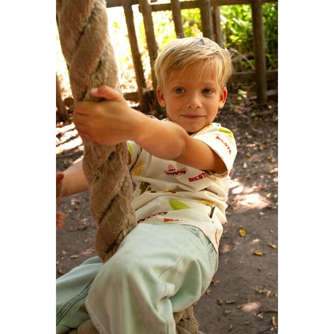 Sturdy - T-shirt AOP Offwhite - Desert Fiesta