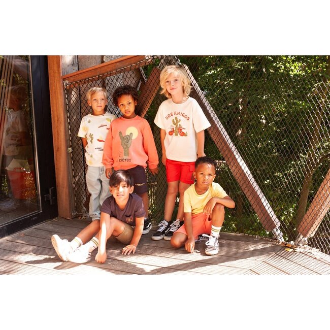 Sturdy - T-shirt met Backprint Geel - Desert Fiesta