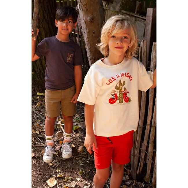 Sturdy - Short Rood - Desert Fiesta